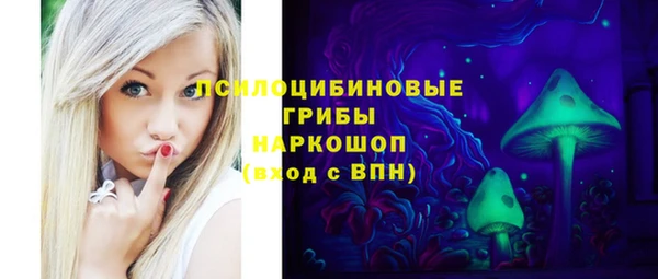 трава Верхнеуральск