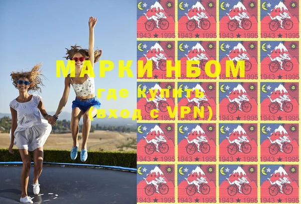 стафф Бородино